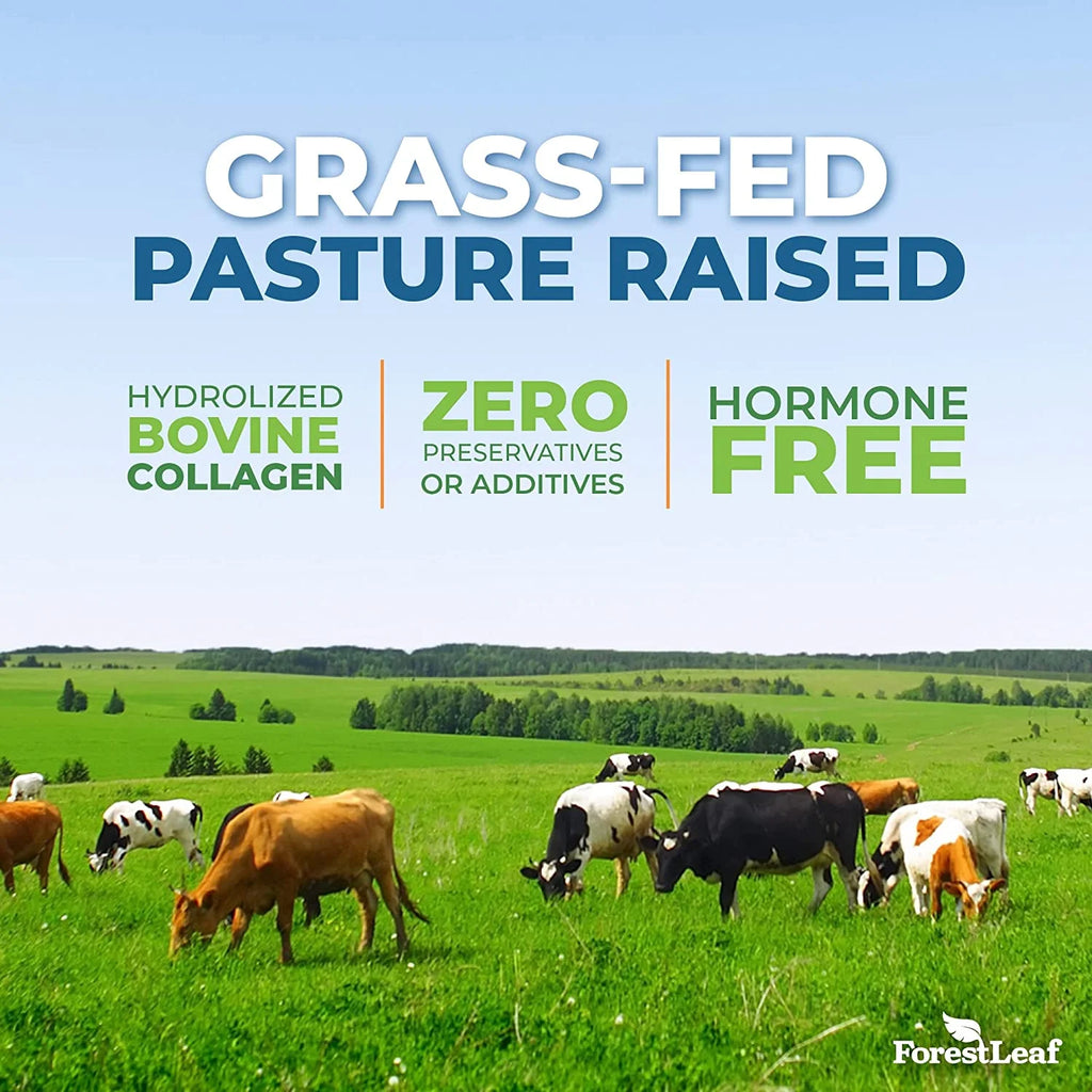 Hydrolyzed Collagen Peptides Powder Unflavored Protein Powder, 2Lb