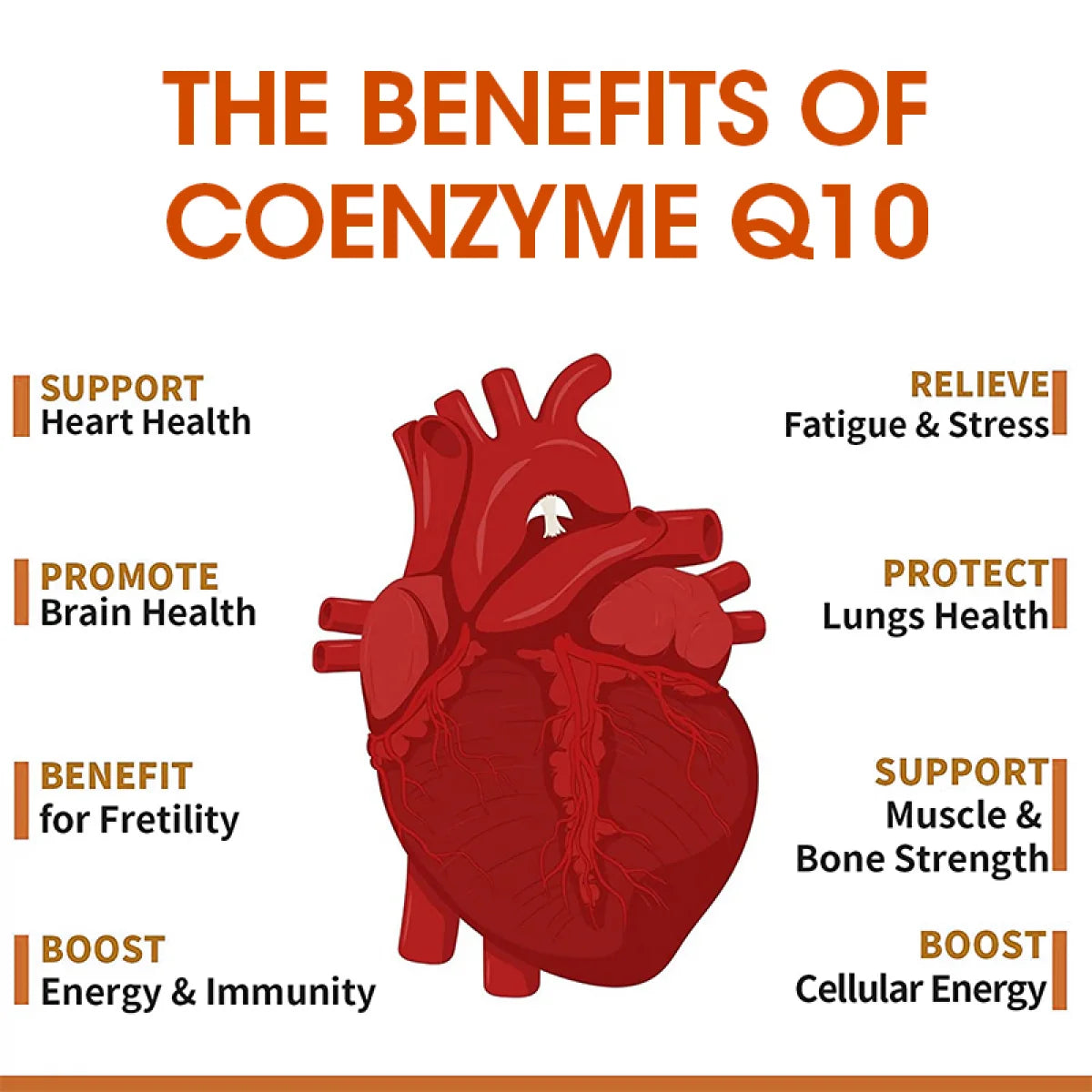 COQ10 Gummies Supplement, Ultra High Absorption Coq10 500Mg, Support Heart Health, Gluten Free (60 Veg Gummies)