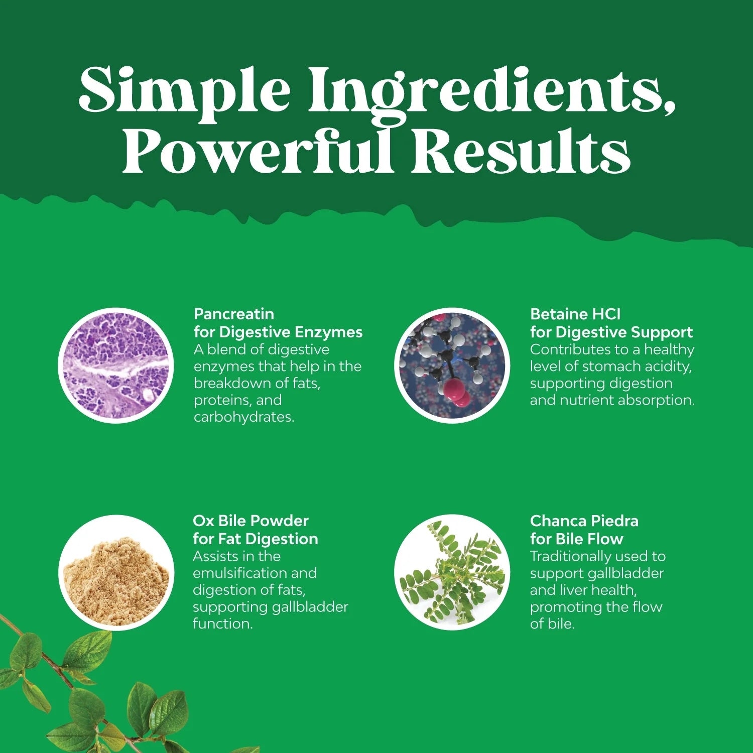 Ox Bile Salts for Gallbladder Support - Purified Bile Salts Supplement with Pancreatin Digestive Enzymes Ox Bile & Betaine HCL - Ox Bile Supplements for No Gallbladder & Digestive Health - 1 Month