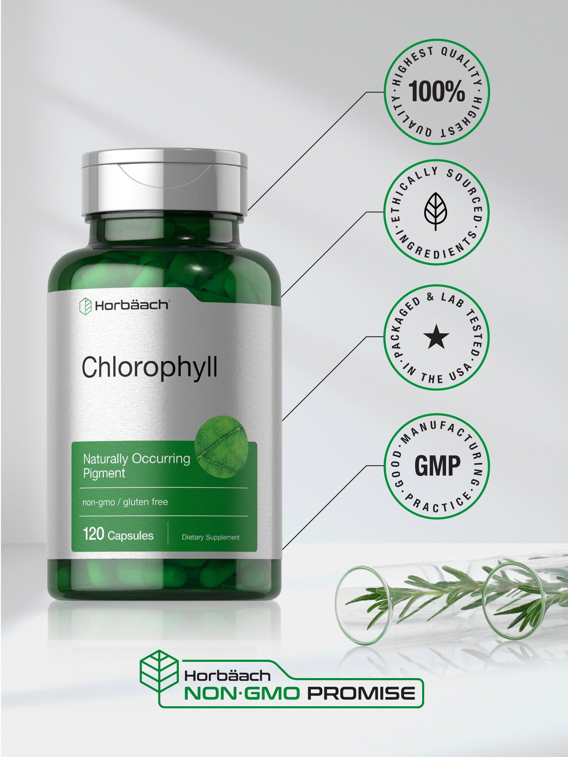 Chlorophyll Capsules | 120 Count for Men and Women | by