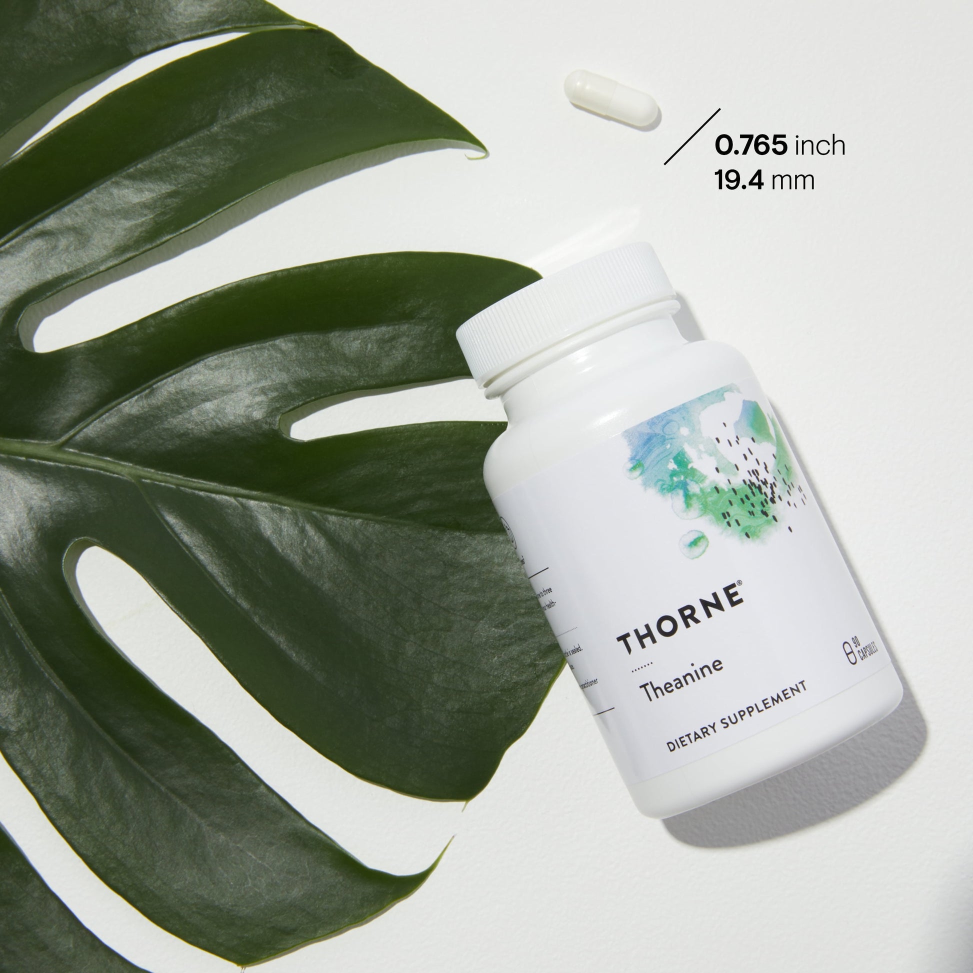 Theanine - 200Mg of L-Theanine - Support a Healthy Stress Response, Relaxation, and Focus - Increases Brain Alpha-Wave Production* - 90 Capsules