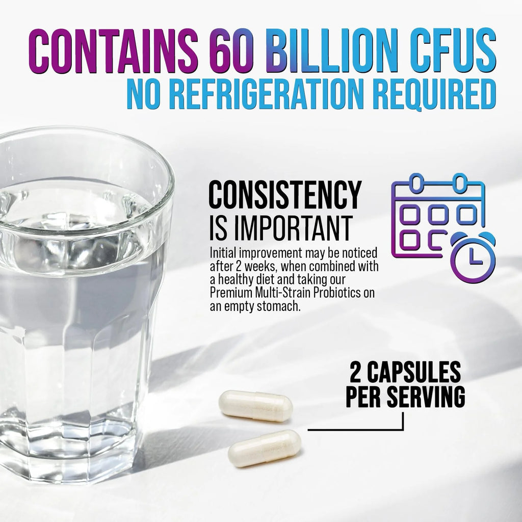 Daily Probiotic for Women & Men 60 Billion CFU 10 Strains Supplement Lactobacillus Probiotics - Digestive Gut & Immune Health Support - Supports Occasional Constipation, Gas & Bloating - 60 Capsules