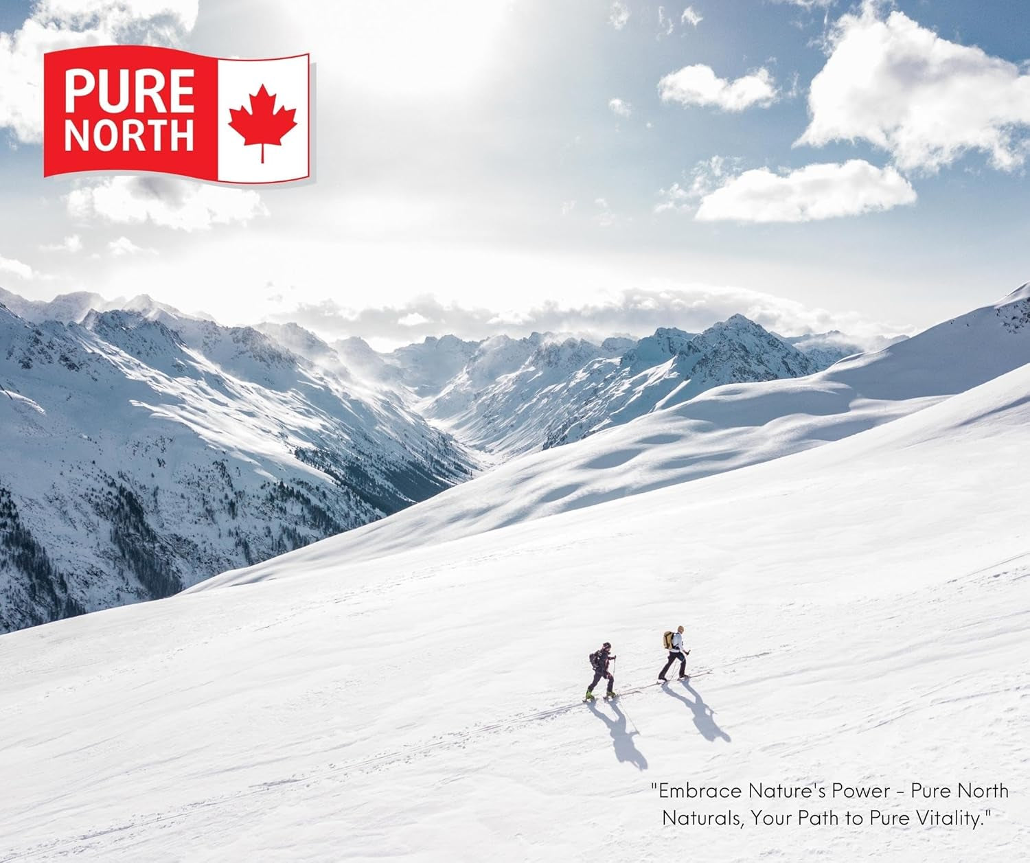 - Creatine 100% Pure Micronized 400G Powder 80-Servings - Improve Muscle Mass, Strength and Size - Improve Training Performance - 3Rd Party Tested - Formulated & Made in Canada