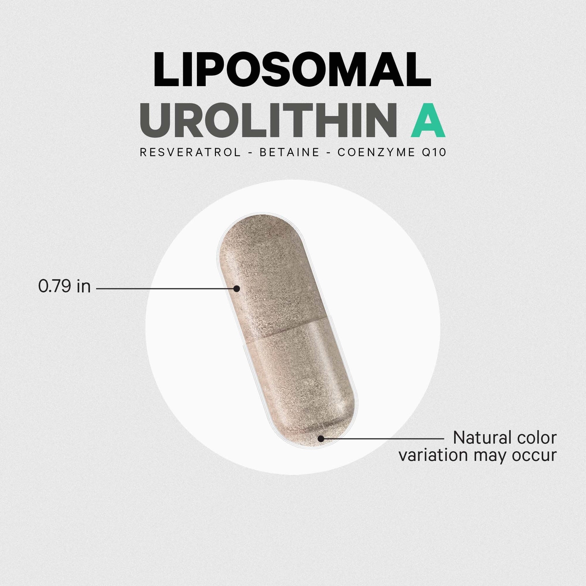 Liposomal Urolithin A, Resveratrol & Coenzyme Q10, Betaine Anhydrous, Coq10 Capsules, 60 Ct