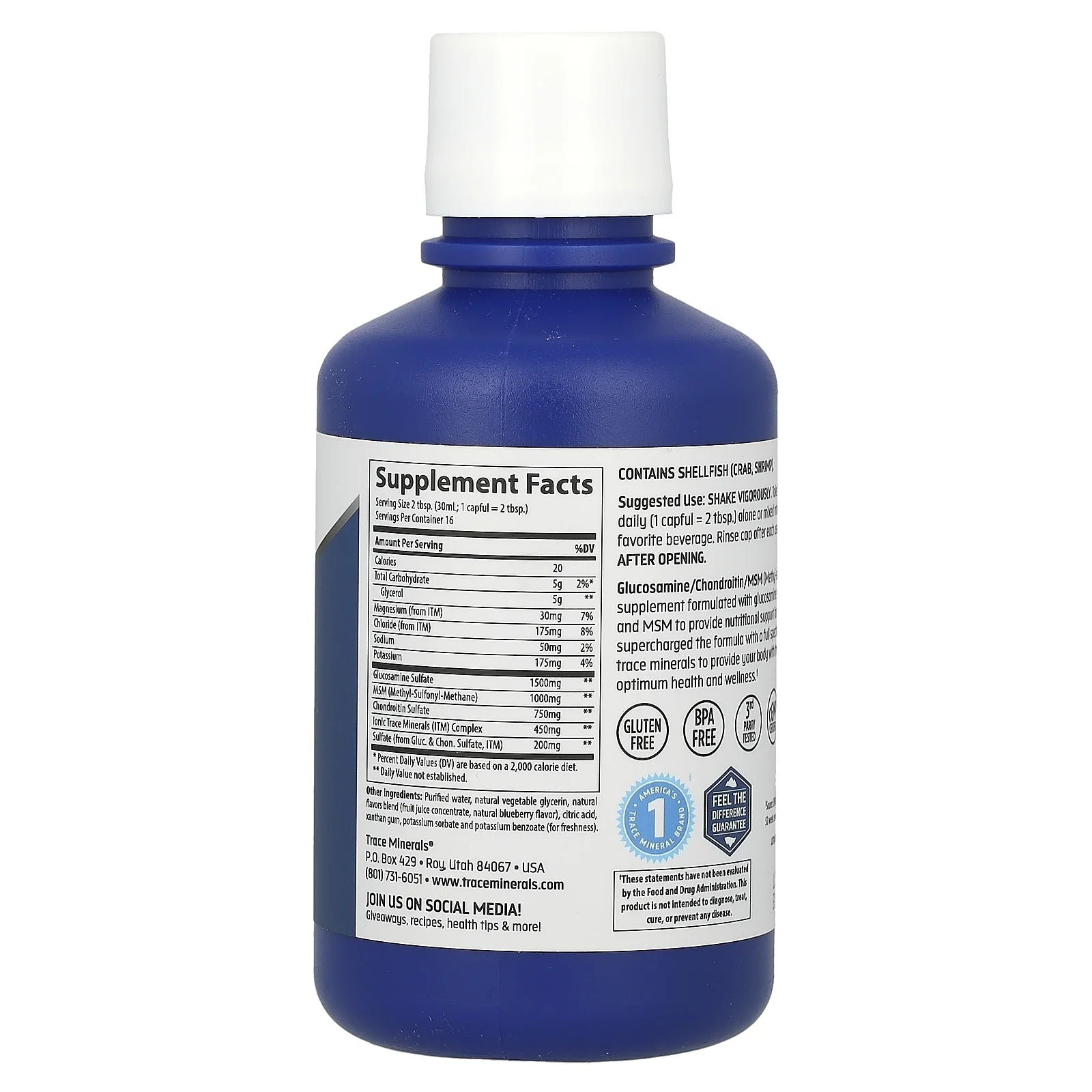 Liquid Glucosamine, Chondroitin + MSM, Blueberry, 16 Fl Oz (473 Ml)
