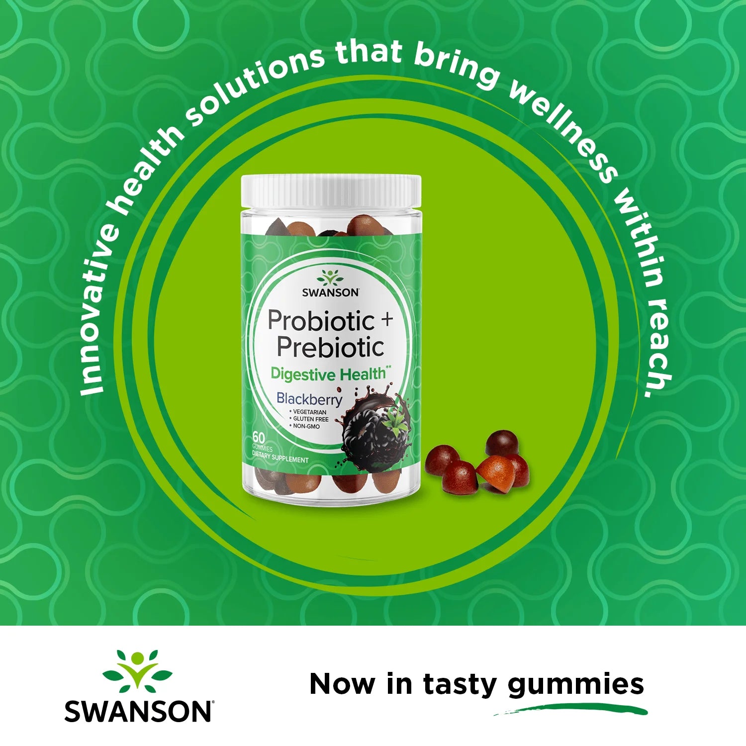 Probiotic + Prebiotic Gummies - Blackberry 2 Pack