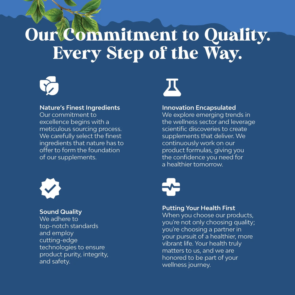 High Absorption L-Theanine Liquid Drops - Nootropic Focus Supplement with L-Theanine 200Mg per Serving and Chamomile Extract for Adults and Kids Relaxation and Focus Vegan 60Ml