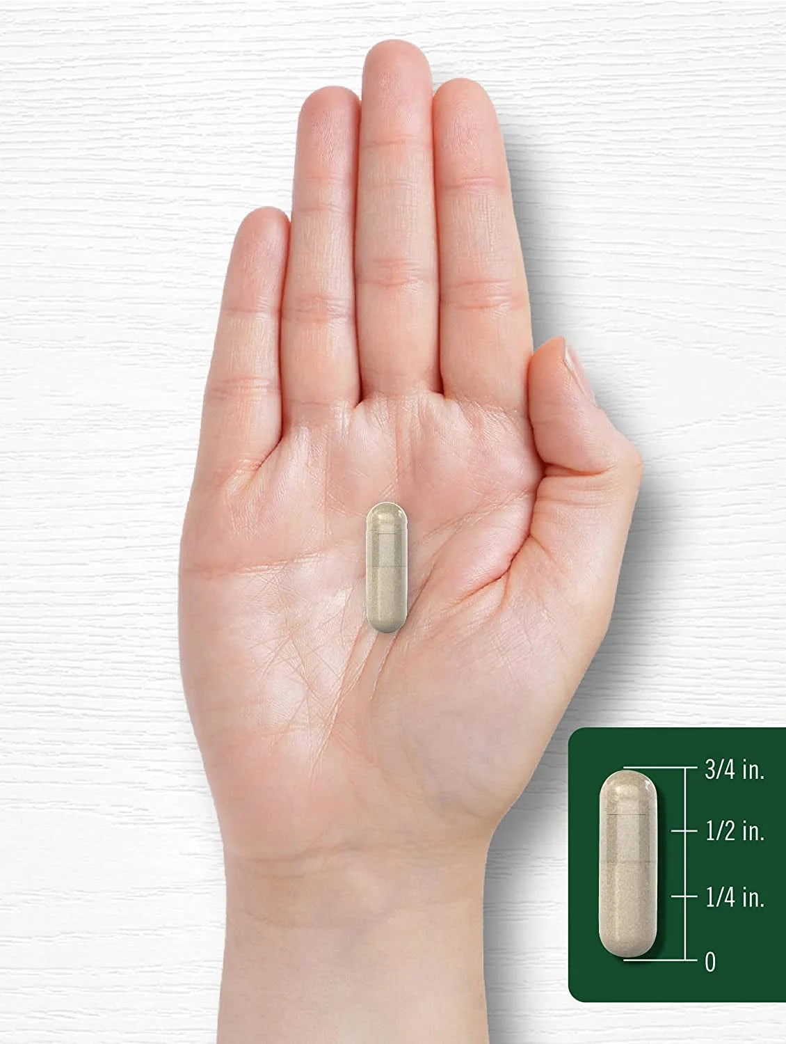 Rosemary Extract | 1200Mg | 200 Capsules | by