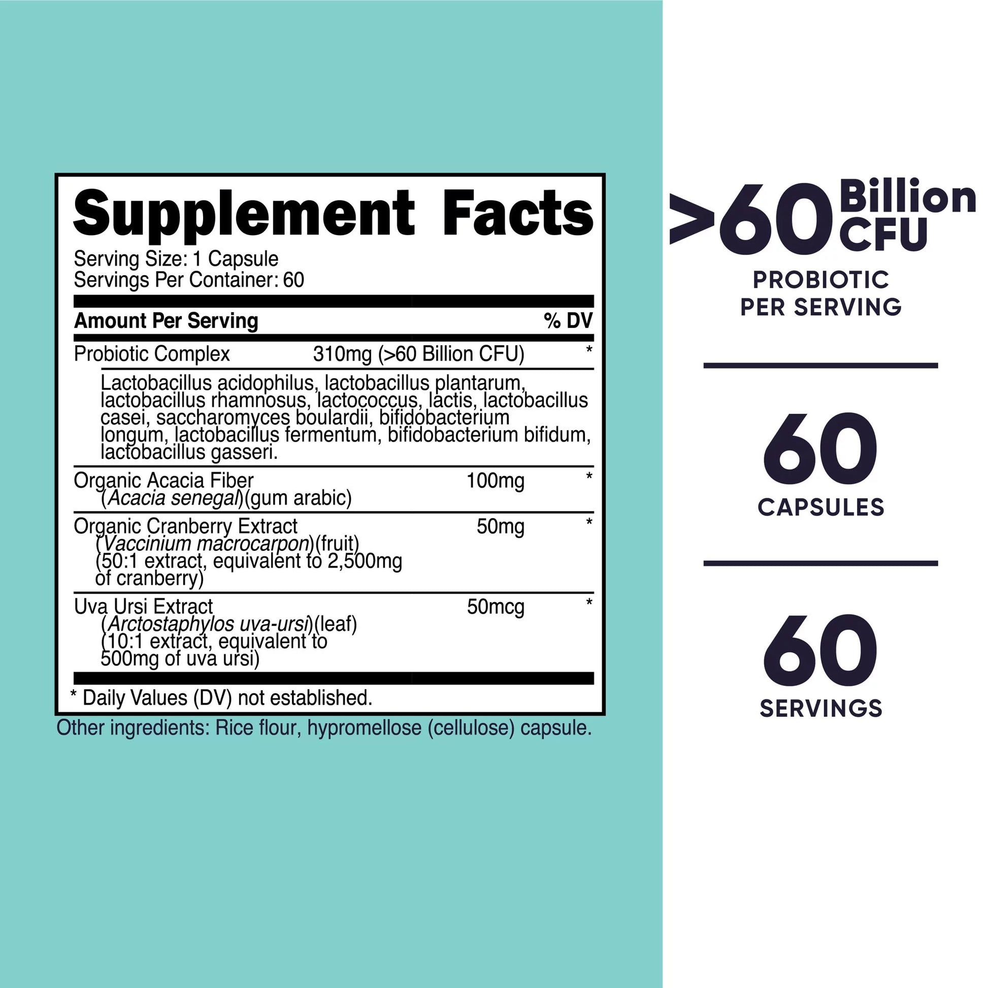 Probiotic for Women 60 Billion CFU, 60 Capsules - Probiotic Supplement