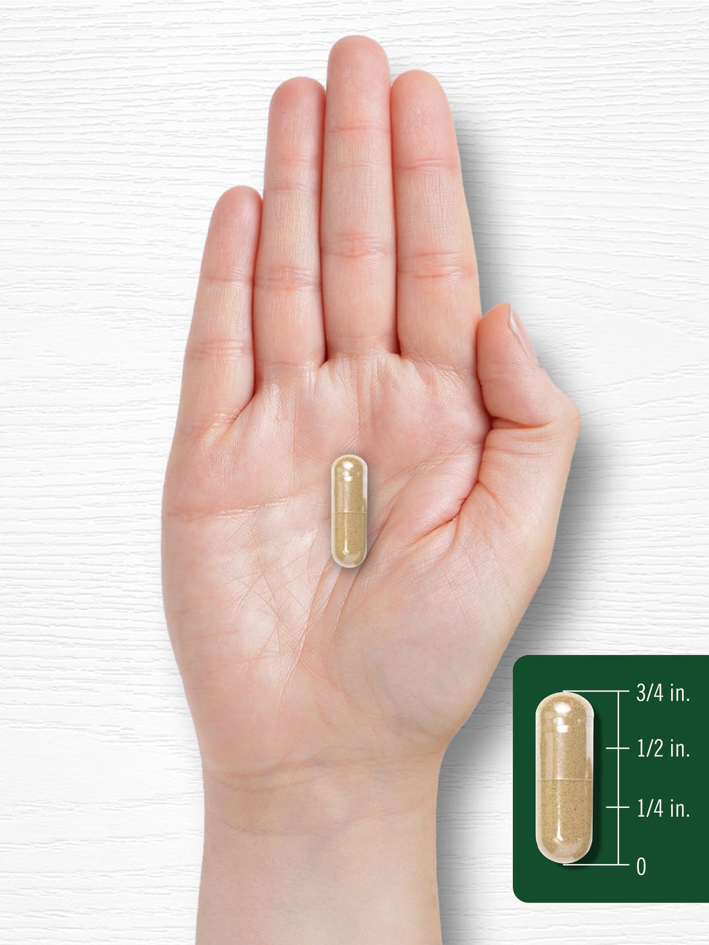 Holy Basil Extract 1600Mg | 200 Capsules | Herbal Supplement for Men and Women | by