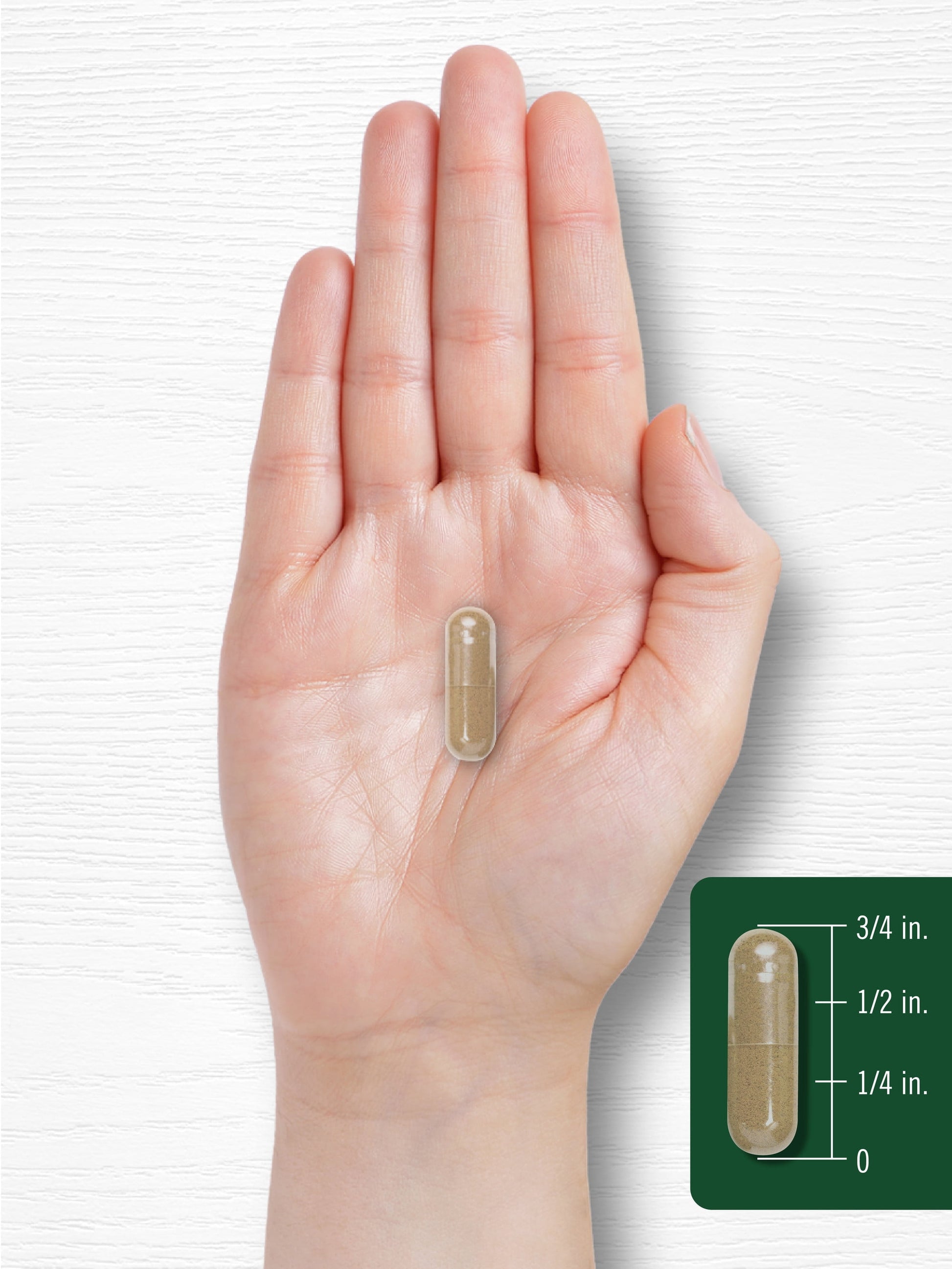 Bitter Melon Capsules | 200 Count | Complex Supplement | by