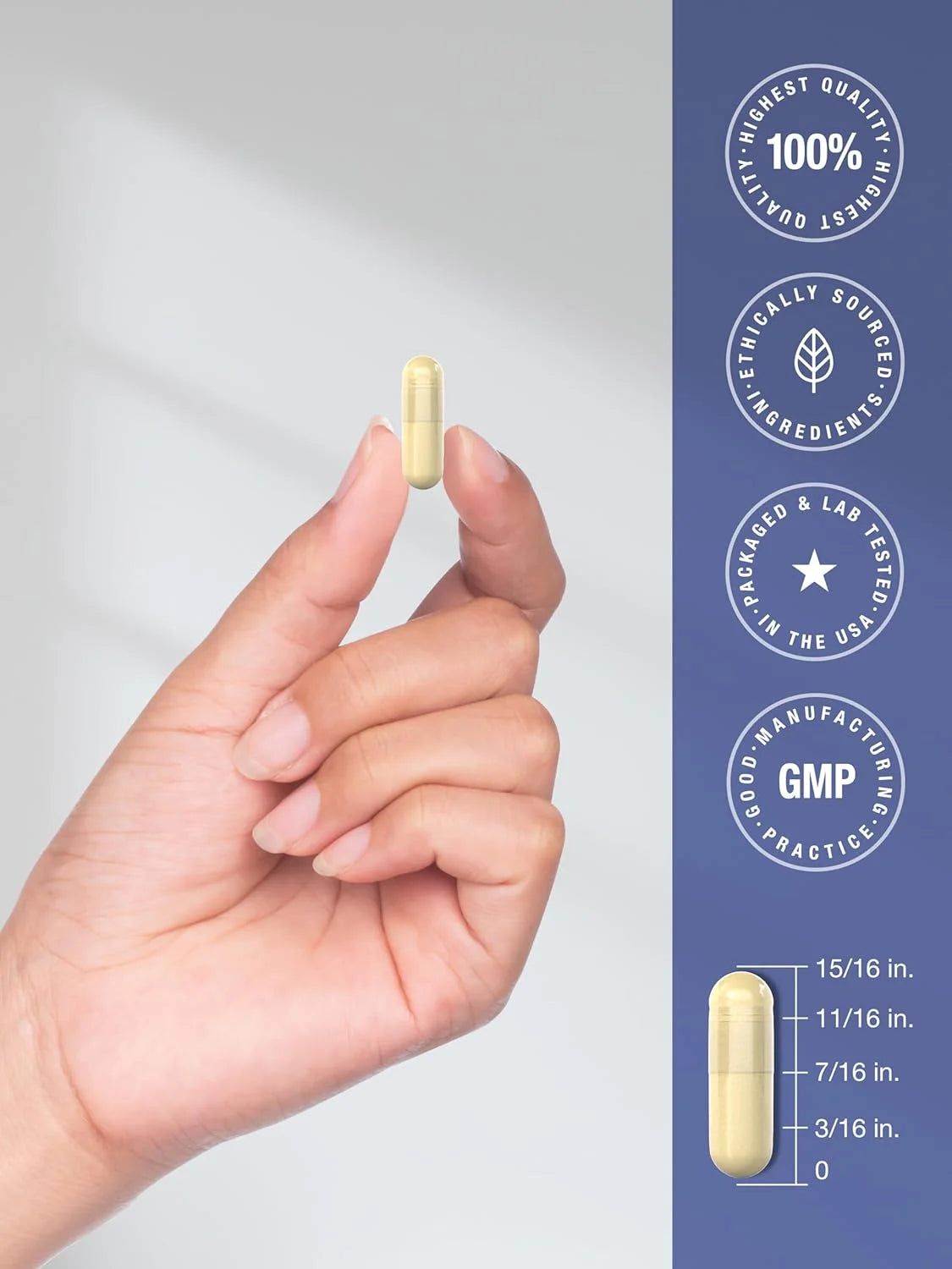 Brain Support Supplement | 120 Capsules | Vegetarian Formula for Men and Women | by