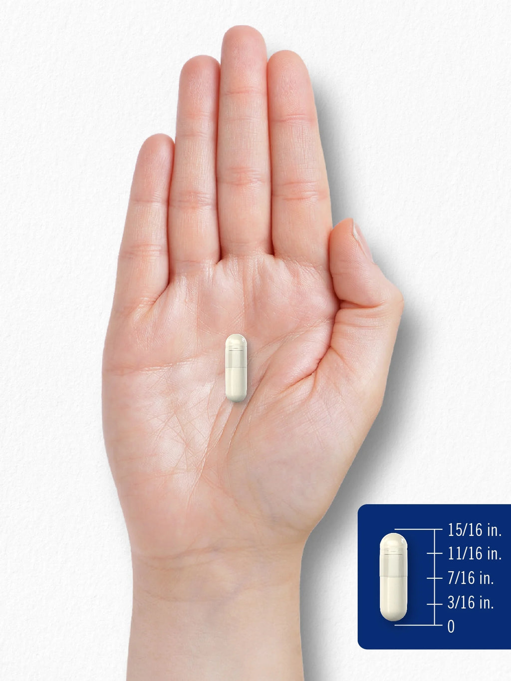 Chitosan Supplement 1200Mg | 120 Capsules for Men and Women | by