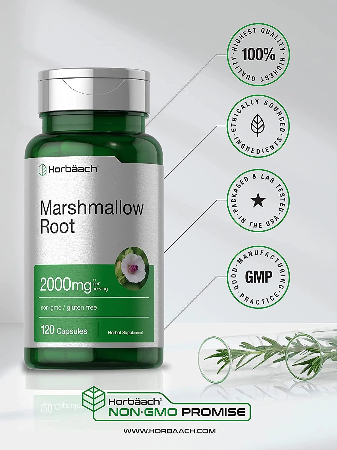 Marshmallow Root Extract | 2000Mg | 120 Capsules | by