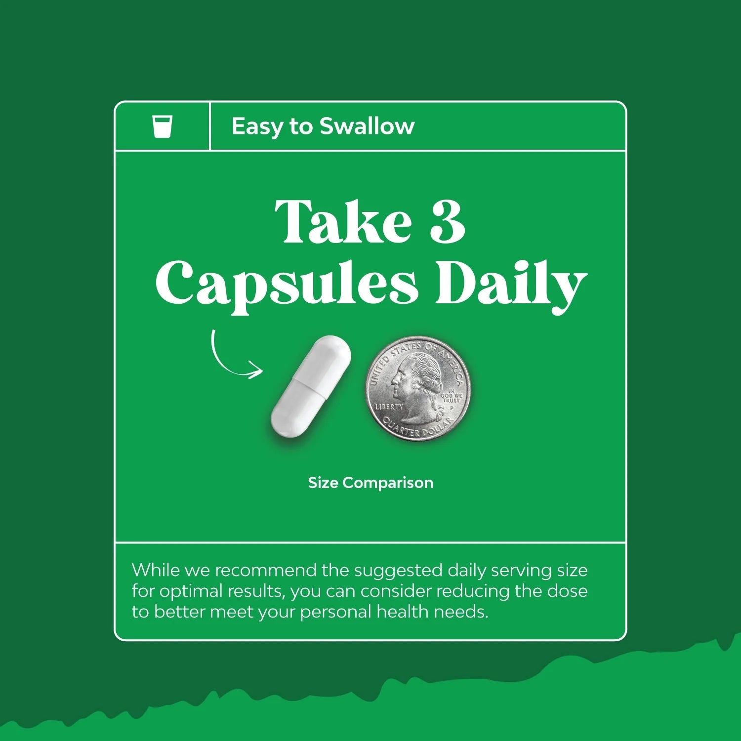 Ox Bile Salts for Gallbladder Support - Purified Bile Salts Supplement with Pancreatin Digestive Enzymes Ox Bile & Betaine HCL - Ox Bile Supplements for No Gallbladder & Digestive Health - 1 Month