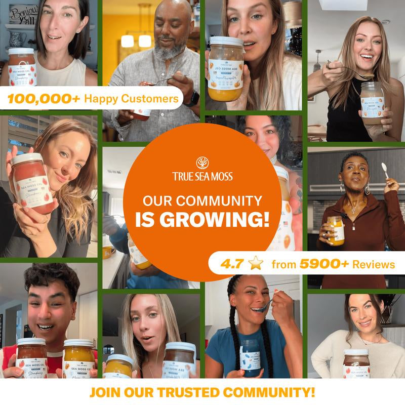 Trueseamoss Sea Moss Gummies – with Burdock Root & Bladderwrack – Non-Gmo, 60 Gummies – Rich in Minerals & Vitamins – Supports Immunity, Improves Digestion, Boosts Energy, Promotes Skin & Hair Health