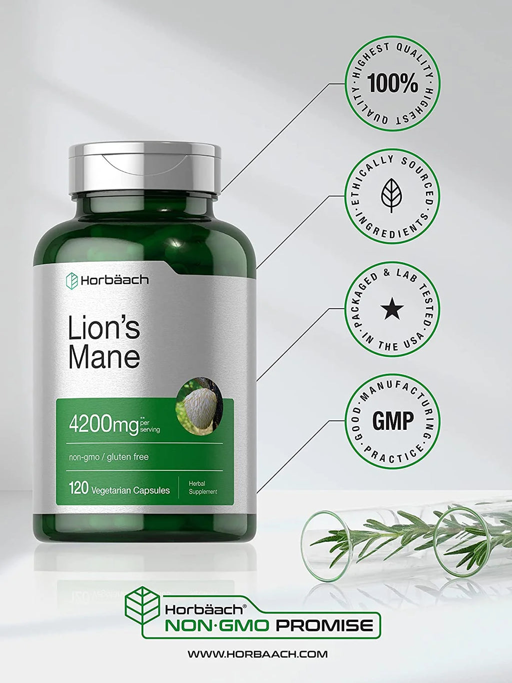 Lions Mane Mushroom | 4200Mg | 120 Capsules for Men and Women | Vegetarian Extract | by