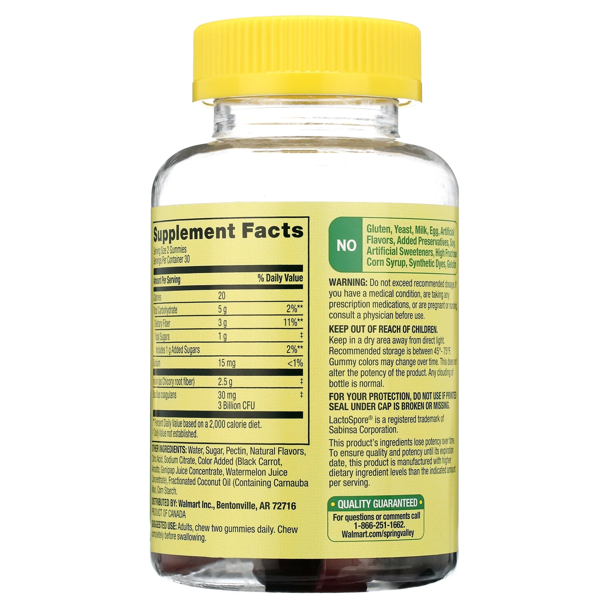 Probiotic with Prebiotic from Inulin Vegetarian Gummies for Digestive Health, Assorted Flavors, 3 Billion CFU, 60 Count