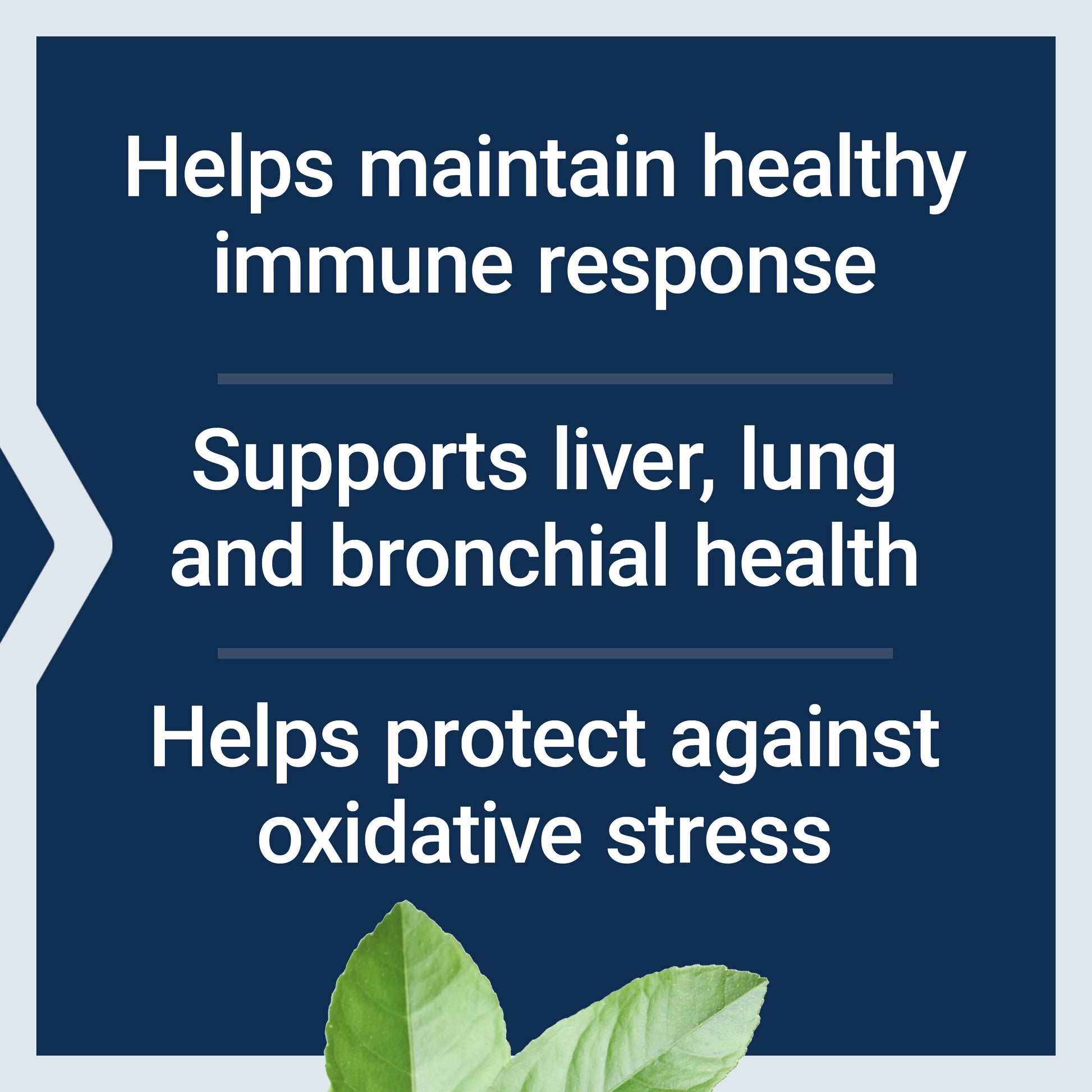 N-Acetyl-L-Cysteine (NAC), Immune Response, Respiratory Health, Liver Health, NAC 600 Mg, Antioxidant Defense, Free Radicals, Easy to Absorb, 60 Capsules