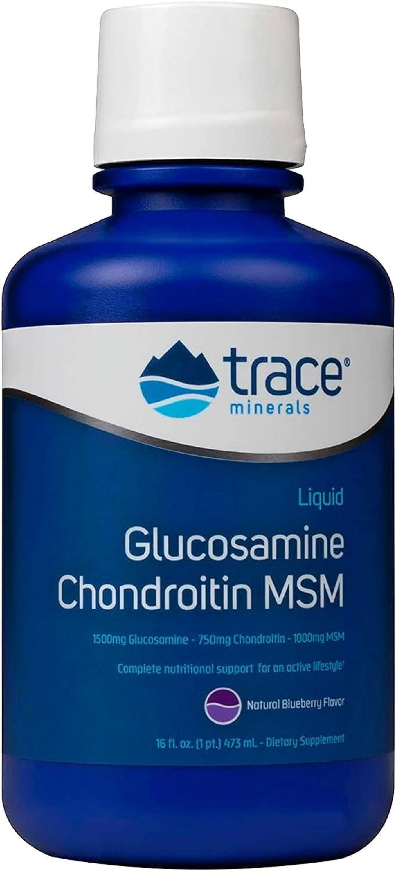 Liquid Glucosamine, Chondroitin + MSM, Blueberry, 16 Fl Oz (473 Ml)