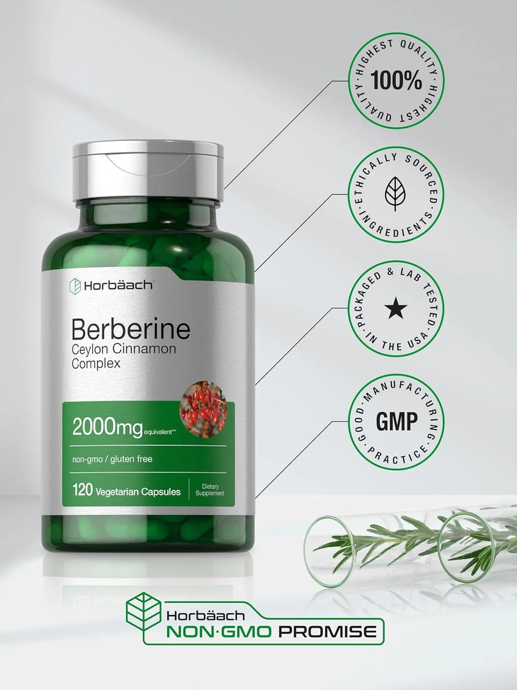 Berberine with Ceylon Cinnamon | 2000Mg | 120 Capsules | by
