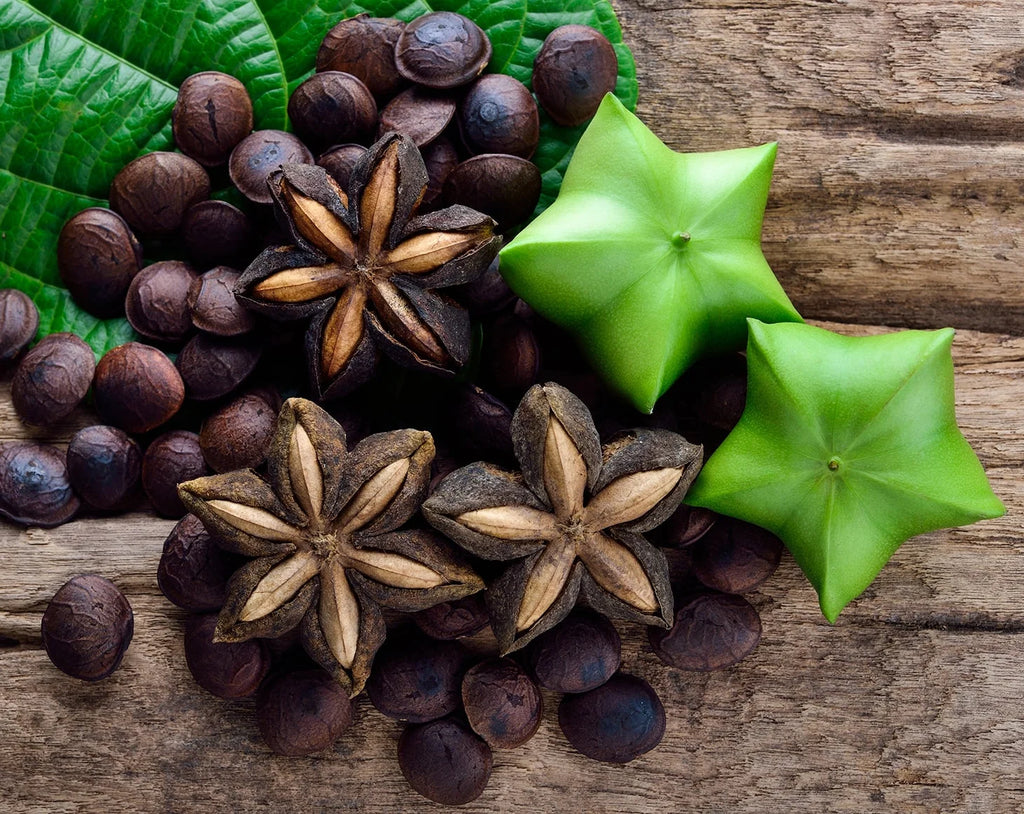 Organic Sacha Inchi Protein Powder, 2 Pounds — Non-Gmo, Kosher, Raw, Vegan — by