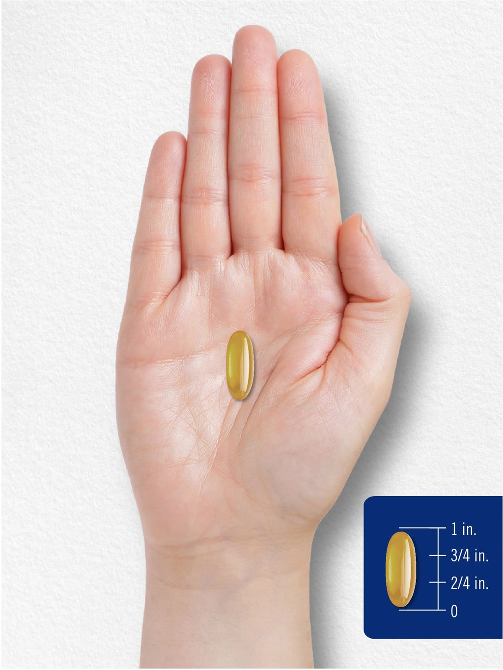 DHA Supplement 1500Mg | 180 Softgels | by