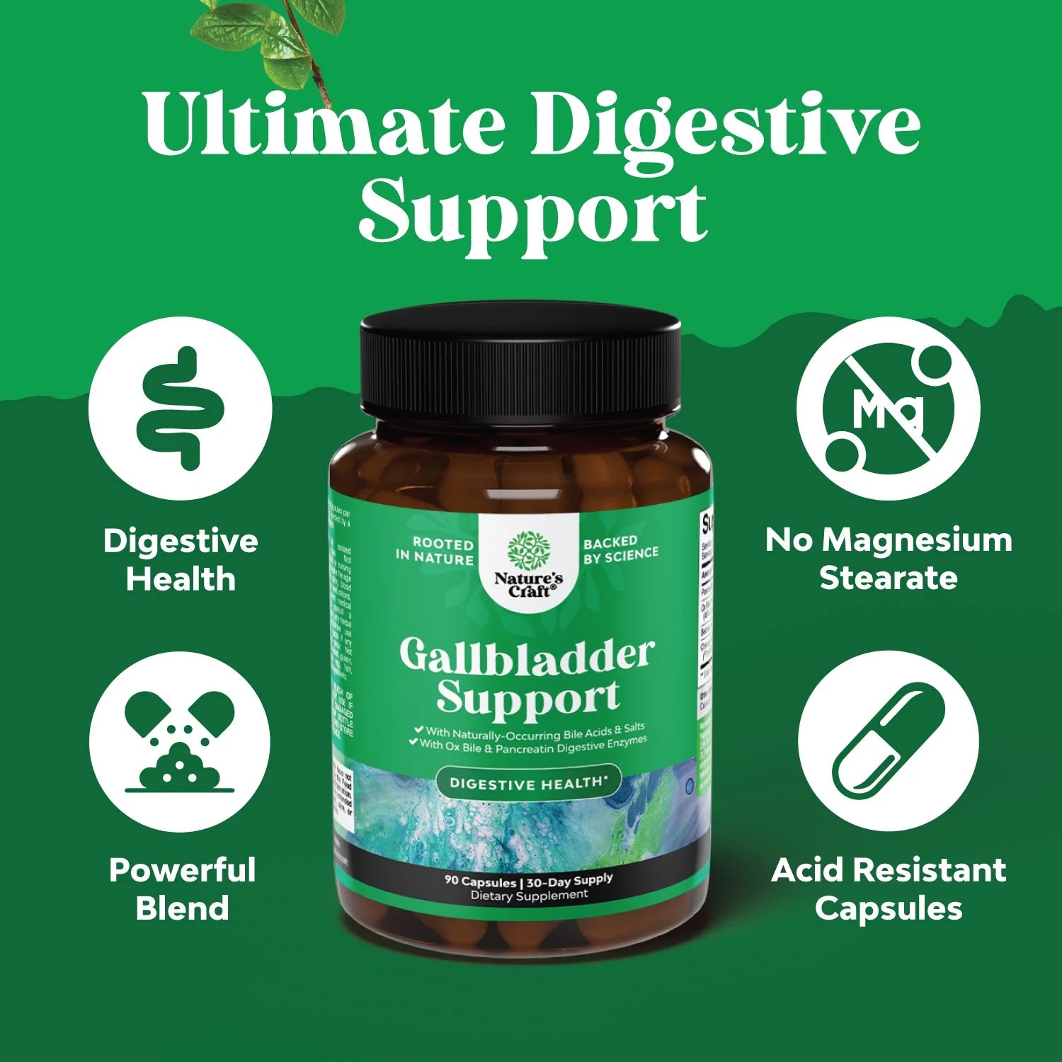 Ox Bile Salts for Gallbladder Support - Purified Bile Salts Supplement with Pancreatin Digestive Enzymes Ox Bile & Betaine HCL - Ox Bile Supplements for No Gallbladder & Digestive Health - 1 Month