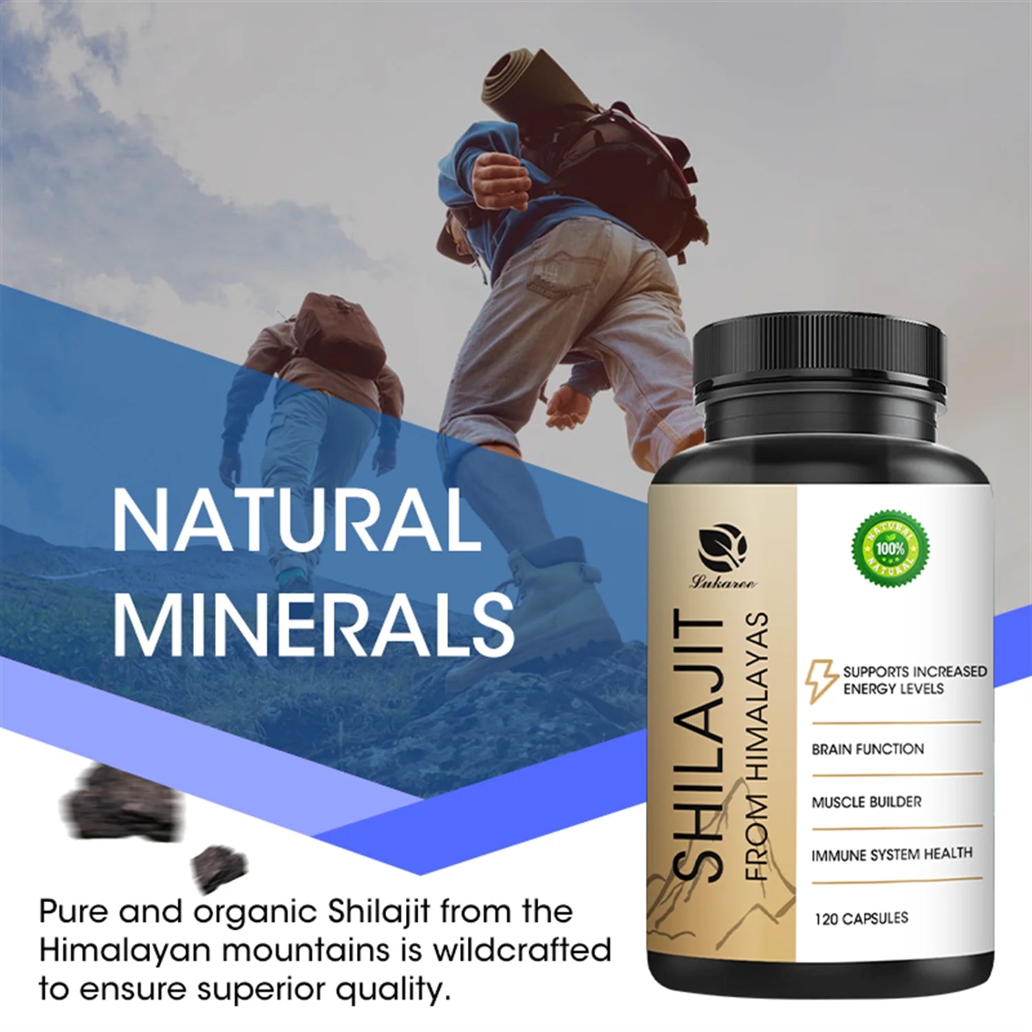 Shilajit 400Mg - Shilajit Supplement 3Rd Party Tested- Potent Antioxidant, Brain Health, Immune Support, 120 Count