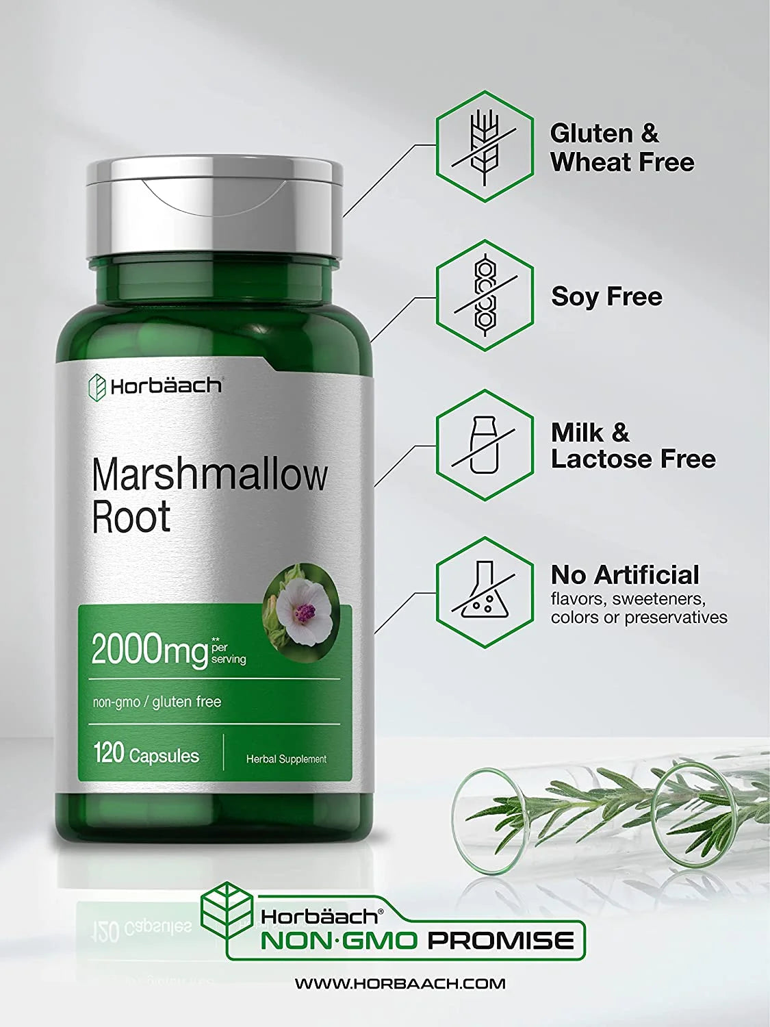 Marshmallow Root Extract | 2000Mg | 120 Capsules | by