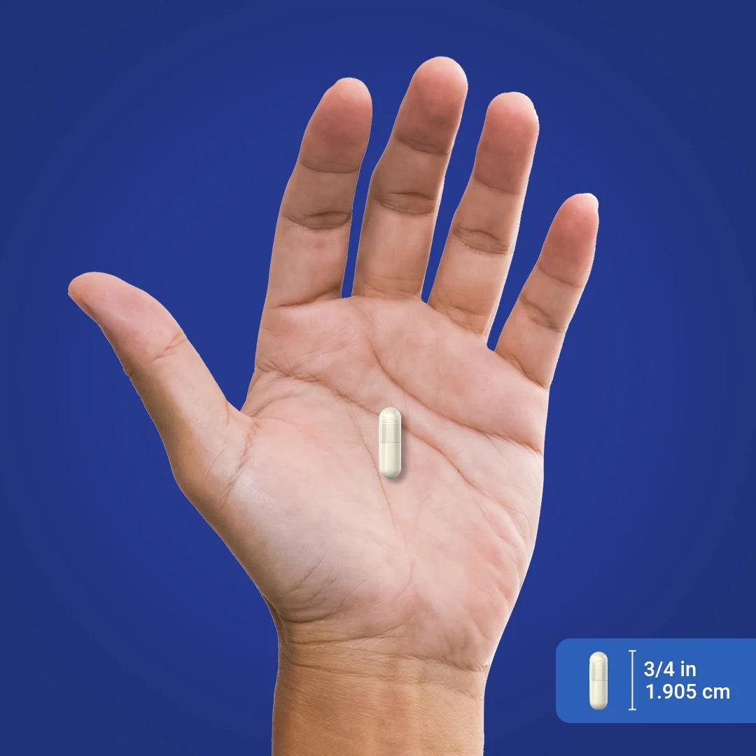 NAD Supplement | Nicotinamide Adenine Dinucleotide 260Mg | 60 Quick Release Capsules | by