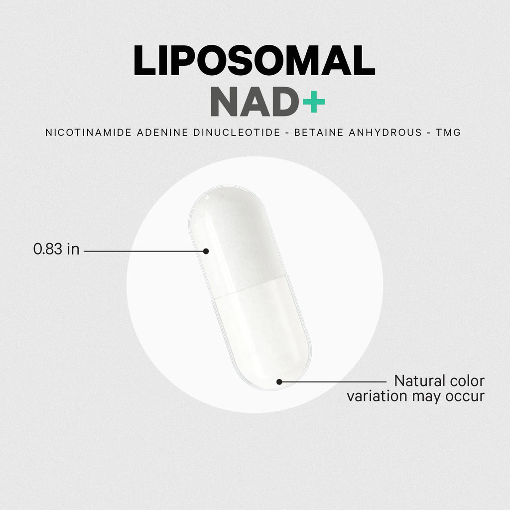 Liposomal NAD+ Supplement, Betaine Anhydrous, Nicotinamide Adenine Dinucleotide Pills, 60 Ct