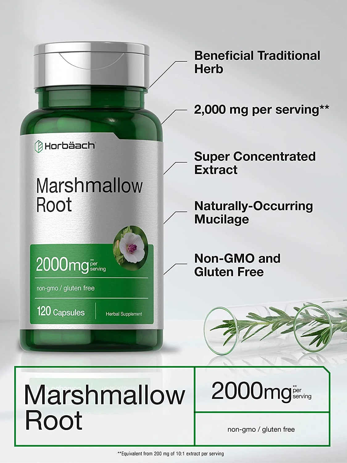 Marshmallow Root Extract | 2000Mg | 120 Capsules | by