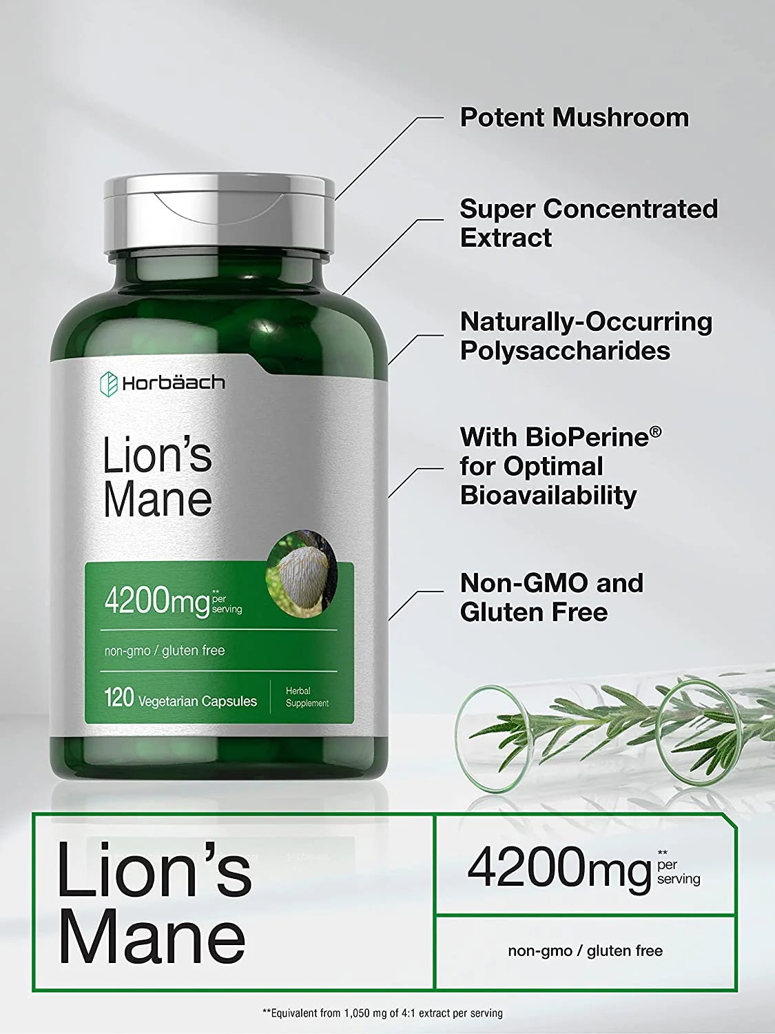 Lions Mane Mushroom | 4200Mg | 120 Capsules for Men and Women | Vegetarian Extract | by