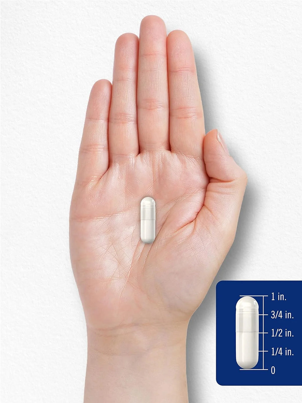 TMG Supplement | 1400Mg | 200 Trimethylglycine Quick Release Capsules | Non-Gmo & Gluten Free | by