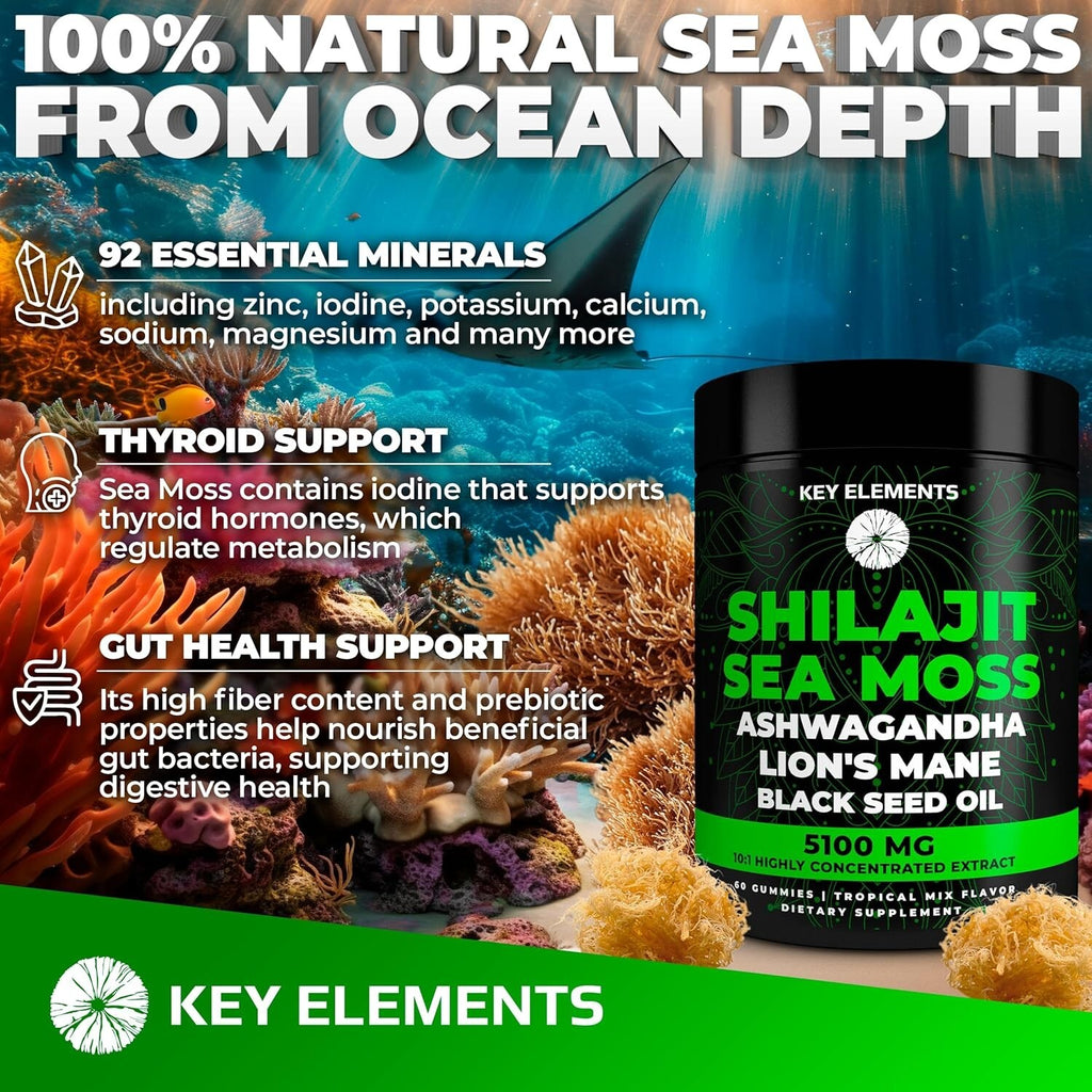 Organic Shilajit Gummies with Sea Moss Gummies - Shilajit Supplement for Immune