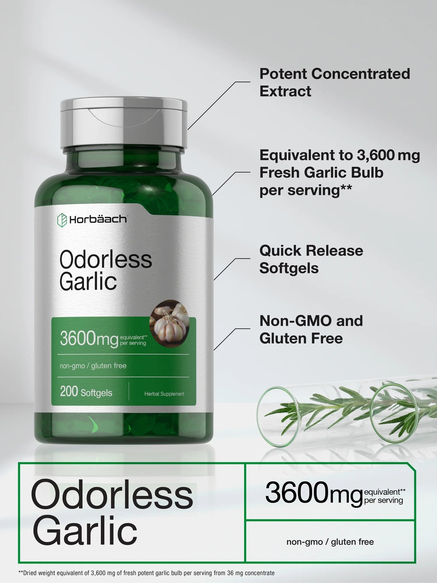 Odorless Garlic | 3600 Mg | 200 Softgels | Potent Garlic Extract | by